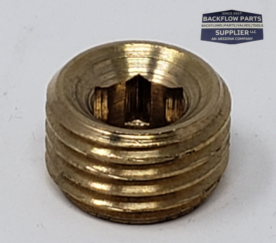 INTPLG025 - Internal Brass .25" NPT Male Hex Plug